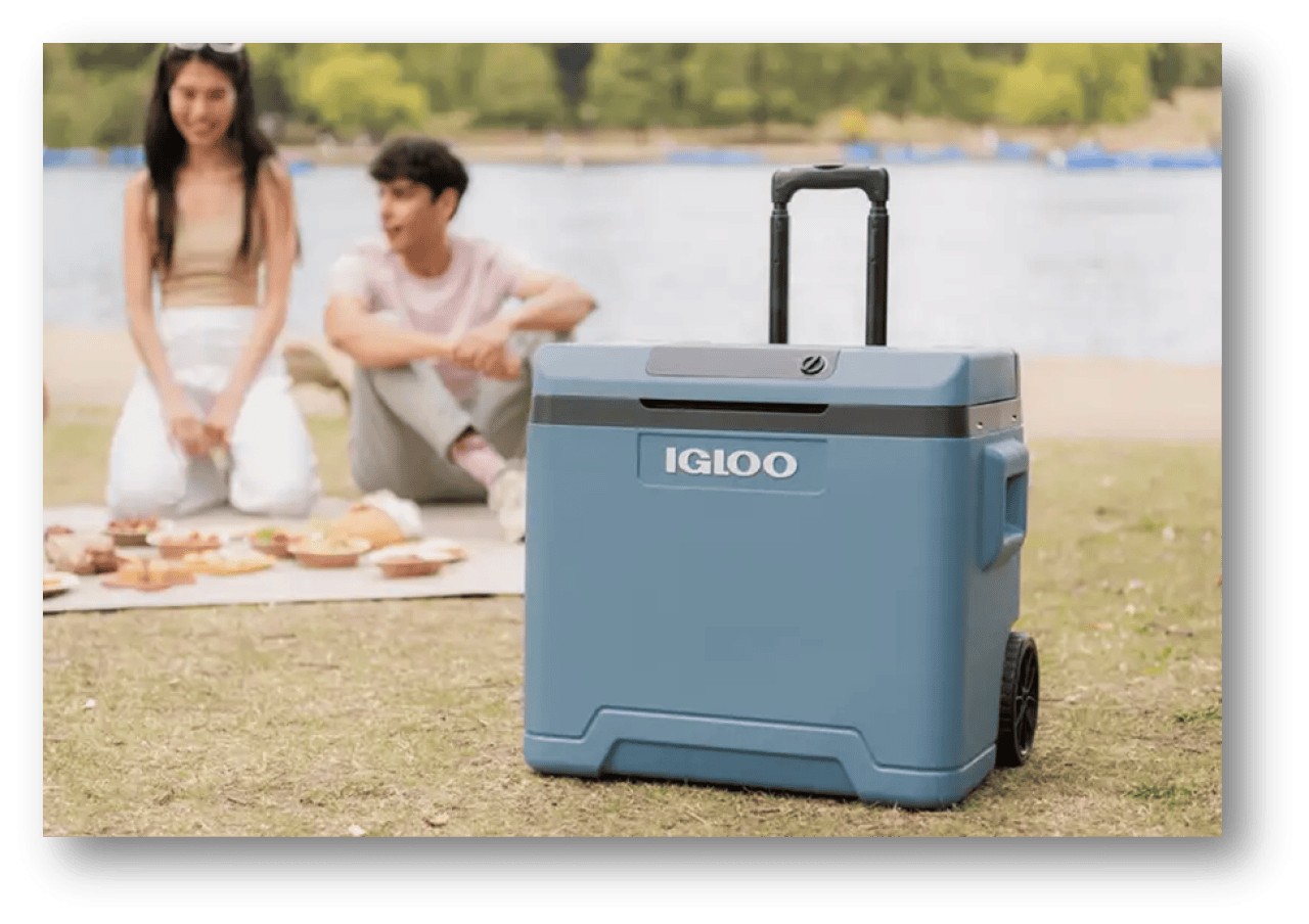 1749131050_1749131049446