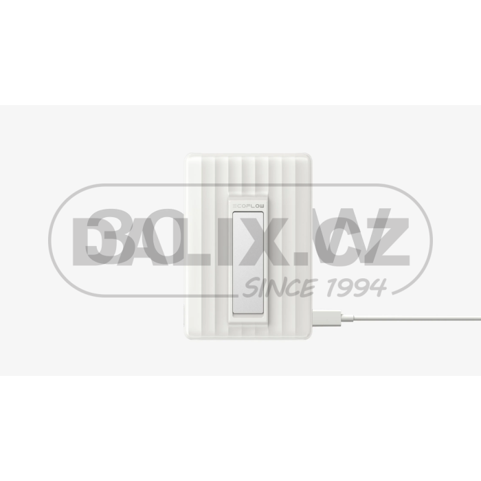 EcoFlow RAPID Magnetická Power Banka (10000mAh) bílá